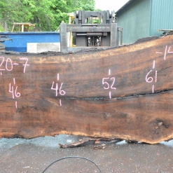 Goby Walnut Oregon Black Walnut Slab 070120-07 Green Slabs
