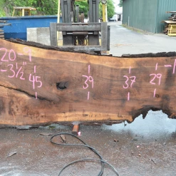 Goby Walnut Oregon Black Walnut Slab 070120-09