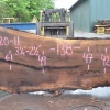 Goby Walnut Green Slabs Oregon Black Walnut Slab 070120-11