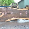 Goby Walnut Oregon Black Walnut Slab 070220-02