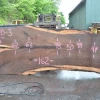 Goby Walnut Oregon Black Walnut Slab 070220-03