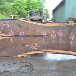 Goby Walnut Oregon Black Walnut Slab 070220-03
