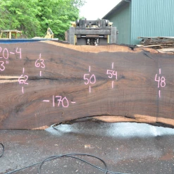 Goby Walnut Oregon Black Walnut Slab 070220-04