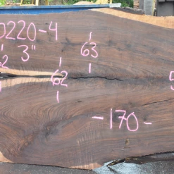 Goby Walnut Oregon Black Walnut Slab 070220-04