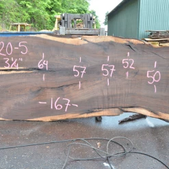 Goby Walnut Oregon Black Walnut Slab 070220-05 Green Slabs