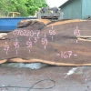 Goby Walnut Green Slabs Oregon Black Walnut Slab 070220-07