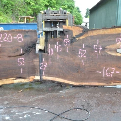 Goby Walnut Oregon Black Walnut Slab 070220-08