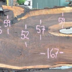 Goby Walnut Oregon Black Walnut Slab 070220-08