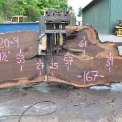 Goby Walnut Green Slabs Oregon Black Walnut Slab 070220-09