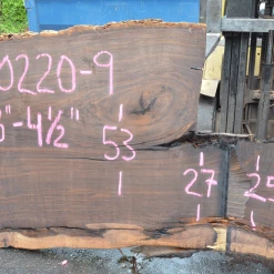 Goby Walnut Green Slabs Oregon Black Walnut Slab 070220-09