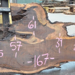 Goby Walnut Green Slabs Oregon Black Walnut Slab 070220-09