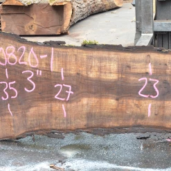 Goby Walnut Oregon Black Walnut Slab 070820-01