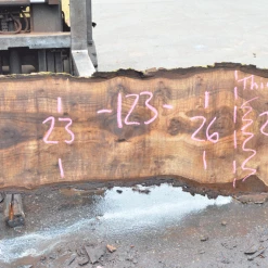 Goby Walnut Oregon Black Walnut Slab 070820-01