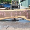 Goby Walnut Green Slabs Oregon Black Walnut Slab 070820-02