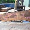Goby Walnut Oregon Black Walnut Slab 070820-03