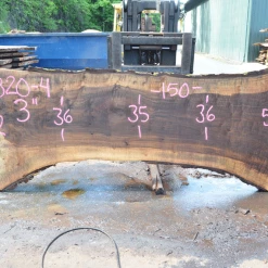 Goby Walnut Oregon Black Walnut Slab 070820-04