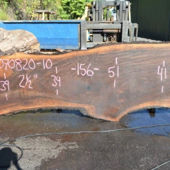 Goby Walnut Oregon Black Walnut Slab 070820-10 Green Slabs