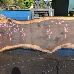 Goby Walnut Oregon Black Walnut Slab 070820-11