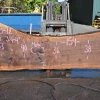 Goby Walnut Green Slabs Oregon Black Walnut Slab 070820-12