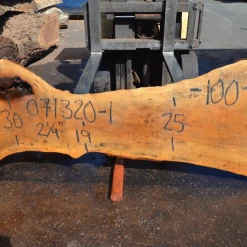 Goby Walnut Sycamore Slab 071320-01 Green Slabs