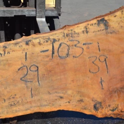 Goby Walnut Sycamore Slab 071320-05 Green Slabs