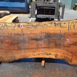 Goby Walnut Green Slabs Sycamore Slab 071320-07