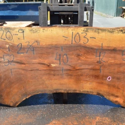 Goby Walnut Green Slabs Sycamore Slab 071320-09