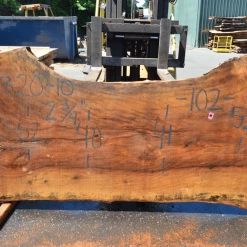 Goby Walnut Sycamore Slab 071320-10