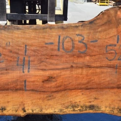 Goby Walnut Sycamore Slab 071320-11