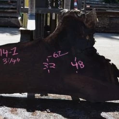 Goby Walnut Green Slabs Oregon Black Walnut Slab 071514-01