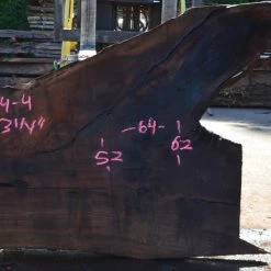 Goby Walnut Oregon Black Walnut Slab 071514-04