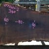 Goby Walnut Green Slabs Oregon Black Walnut Slab 071614-02