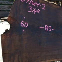 Goby Walnut Green Slabs Oregon Black Walnut Slab 071614-02