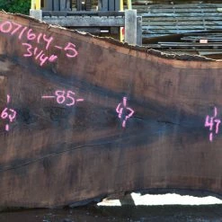 Goby Walnut Oregon Black Walnut Slab 071614-05