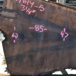 Goby Walnut Oregon Black Walnut Slab 071614-05