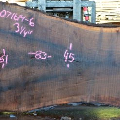 Goby Walnut Oregon Black Walnut Slab 071614-06