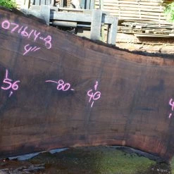 Goby Walnut Oregon Black Walnut Slab 071614-08