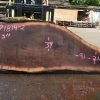 Goby Walnut Green Slabs Oregon Black Walnut Slab 071814-02