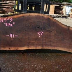 Goby Walnut Oregon Black Walnut Slab 071814-03 Green Slabs