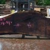 Goby Walnut Oregon Black Walnut Slab 071814-05