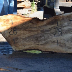 Goby Walnut Products Green Slabs Silver Maple Slab 071921-01