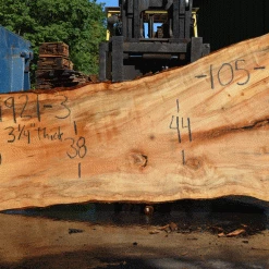 Goby Walnut Products Silver Maple Slab 071921-03