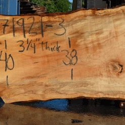 Goby Walnut Products Silver Maple Slab 071921-03