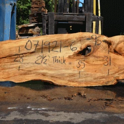 Goby Walnut Products Silver Maple Slab 071921-06