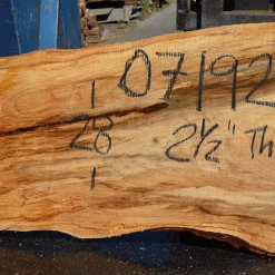 Goby Walnut Products Silver Maple Slab 071921-06