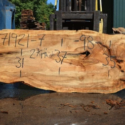 Goby Walnut Products Silver Maple Slab 071921-07