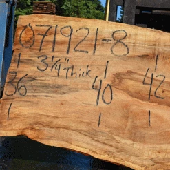 Goby Walnut Products Green Slabs Silver Maple Slab 071921-08