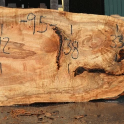 Goby Walnut Products Green Slabs Silver Maple Slab 071921-08