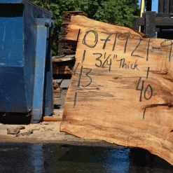 Goby Walnut Products Silver Maple Slab 071921-09