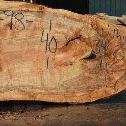 Goby Walnut Products Silver Maple Slab 071921-09